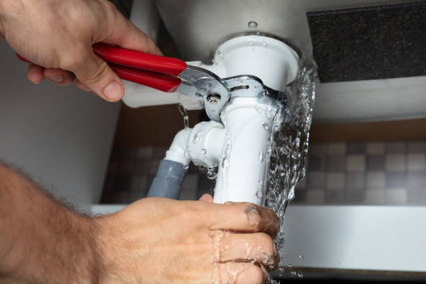 Best Professional water damage repair  in Piru, CA