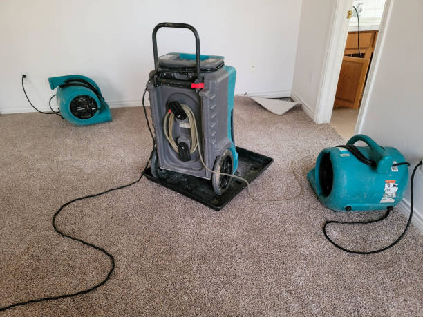 Best Residential water damage restoration  in Piru, CA
