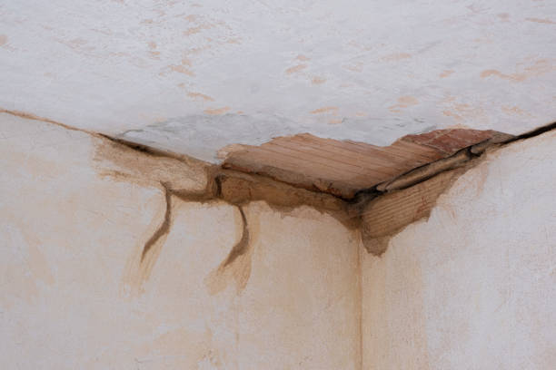  Piru, CA Water damage restoration Pros