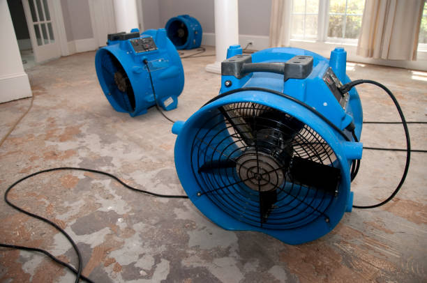 24/7 water damage repair in Piru, CA
