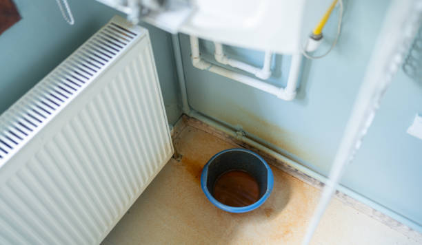 Best Flood damage cleanup  in Piru, CA